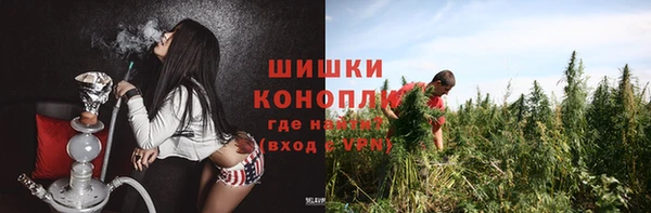 тгк Корсаков