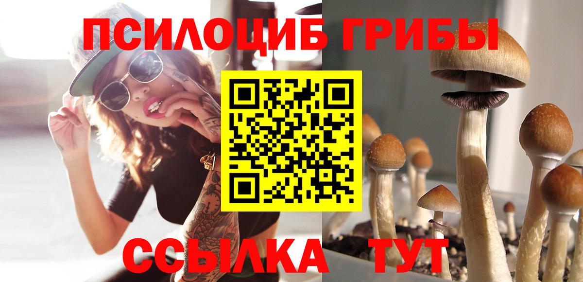 Галлюциногенные грибы Magic Shrooms Абакан